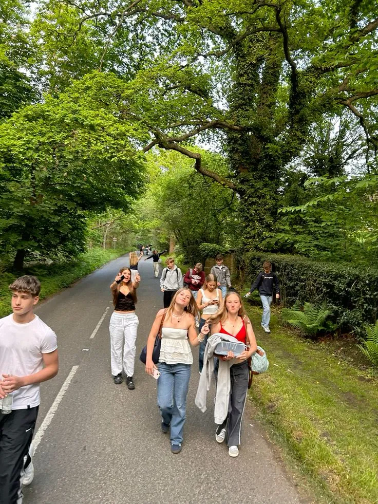 Summer walk along a sunlit path